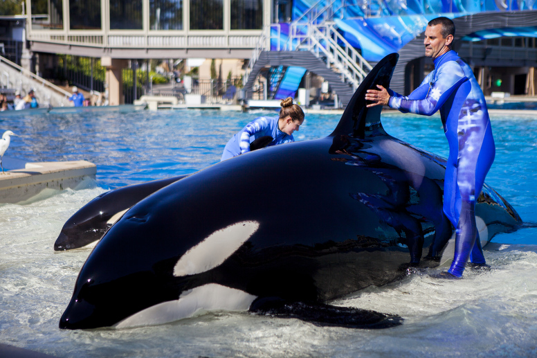 seaworld026.jpg